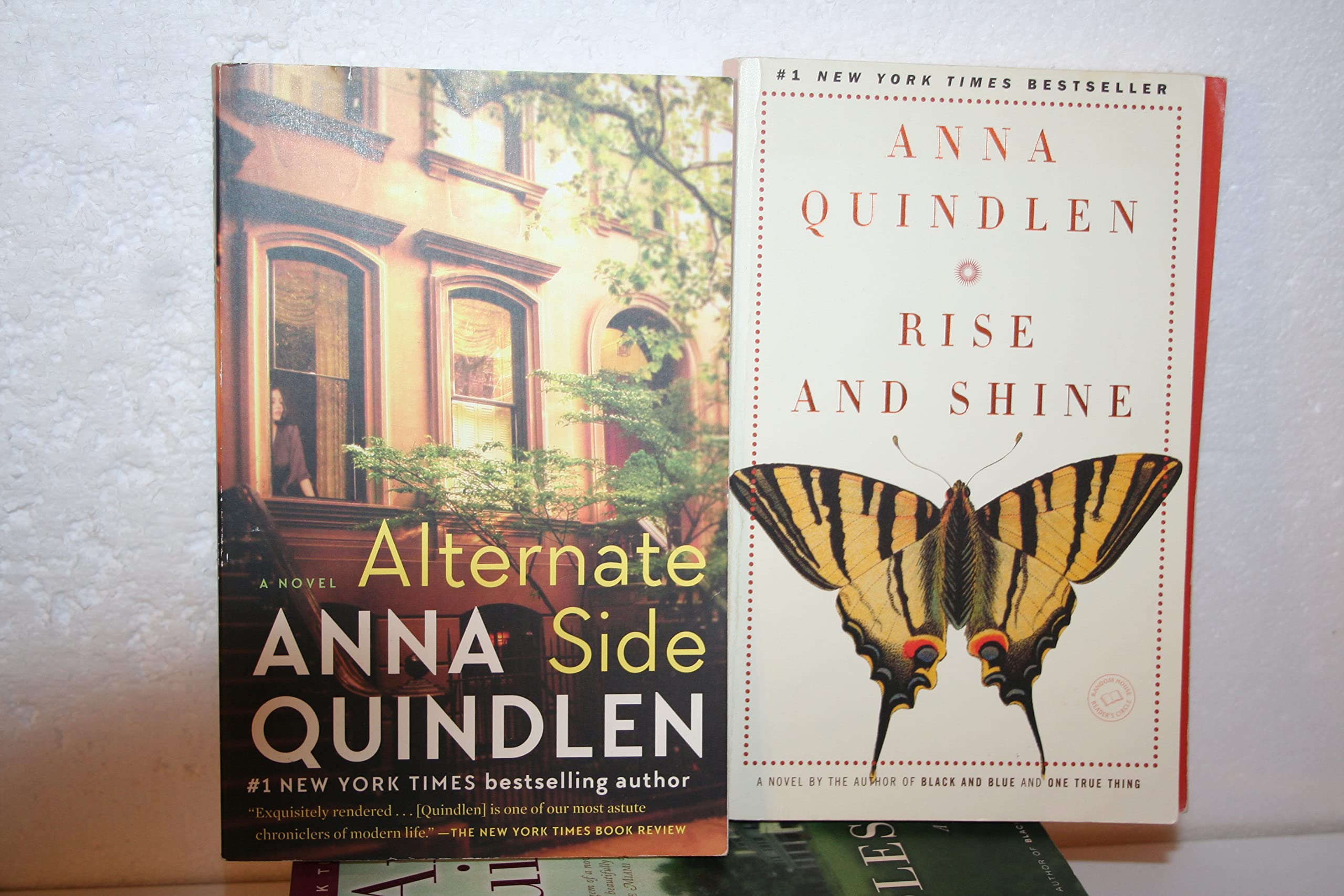 5-title Collection of Literary Fiction