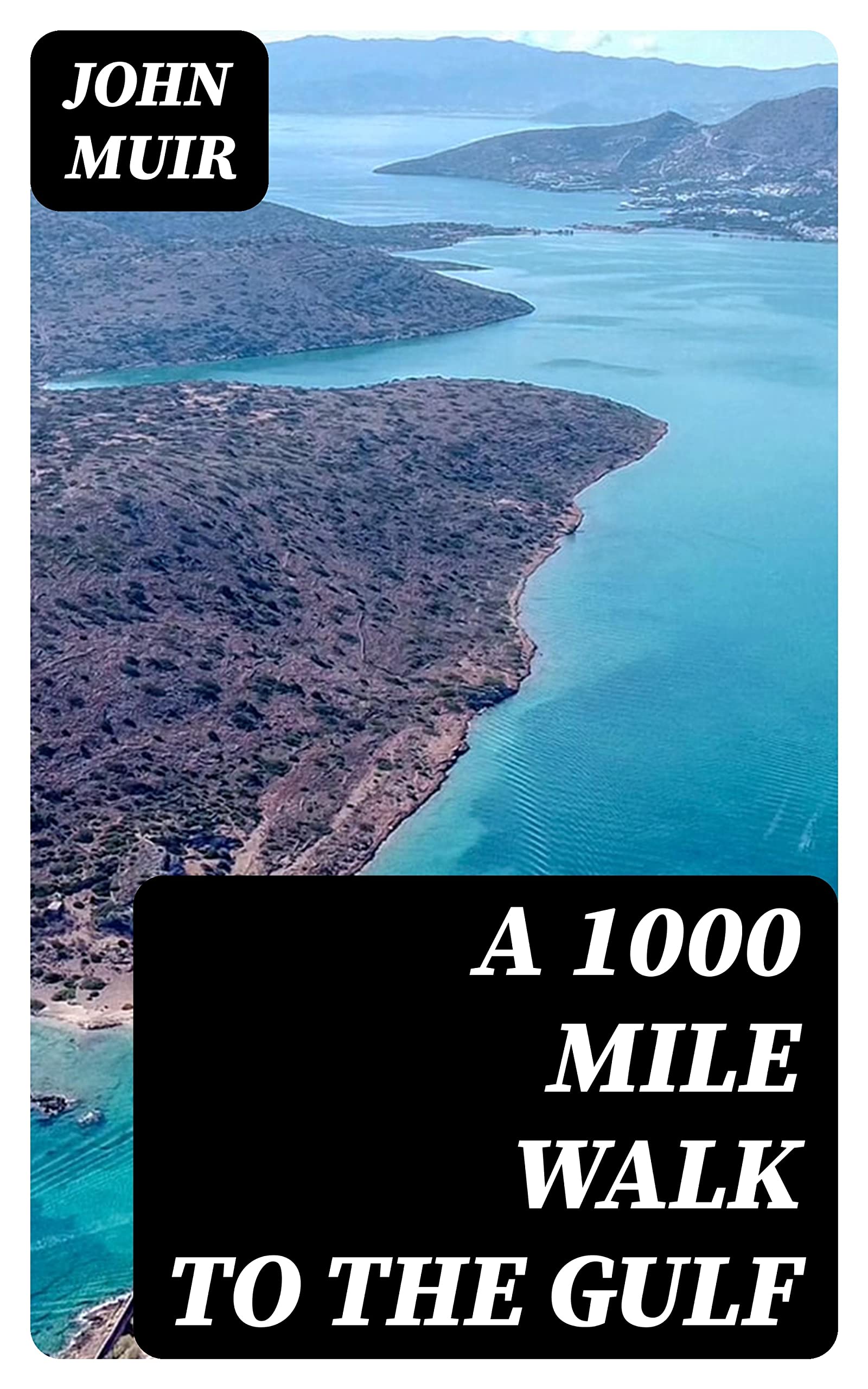 A 1000 Mile Walk to the Gulf: Enriched edition.