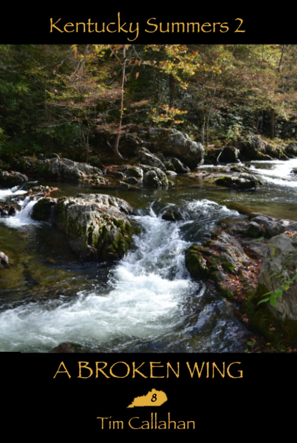 A Broken Wing: Kentucky Summers 2 series