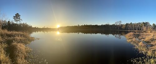 A Guide to Vertical Cognition