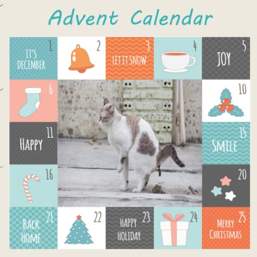 Advent Calendar: Pooping Animals Advent Calendar, 25 funny Riddles, Brain Teasers, and jokes , 25 DAYS Christmas Countdown Calendar, Christmas Gifts for Kids, Adults, animals lovers.