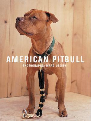 American Pitbull