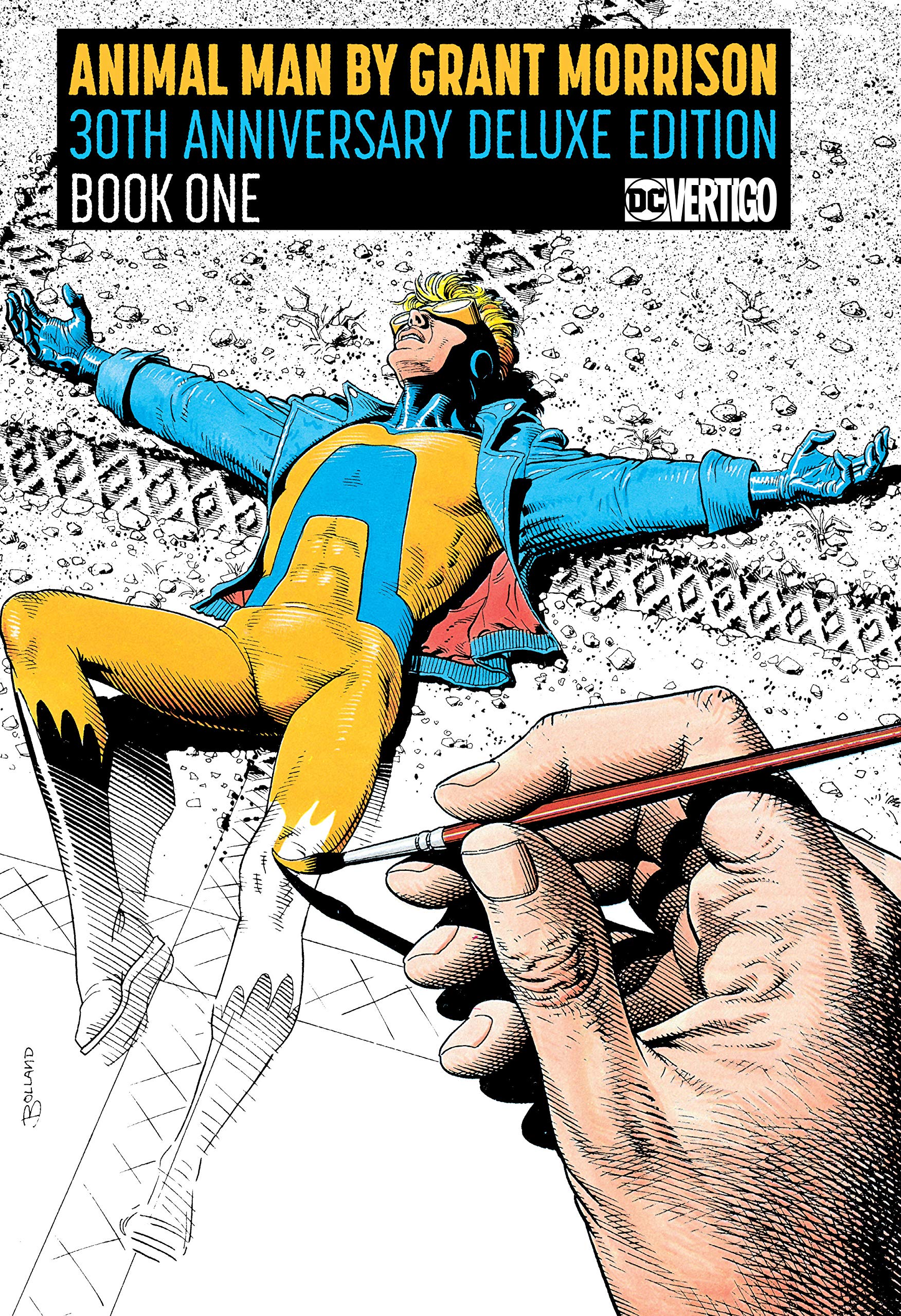 Animal Man by Grant Morrison, Book 1