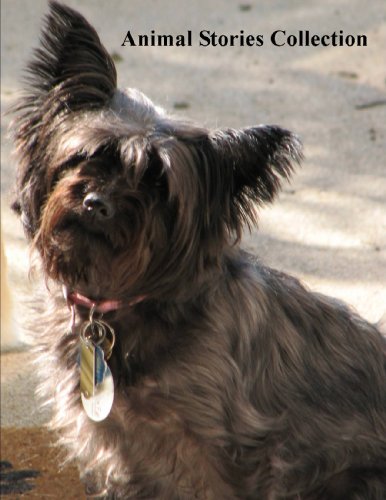 Animal Stories Collection