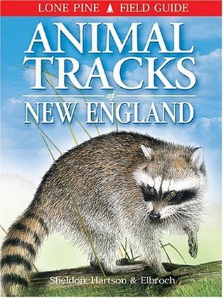 Animal Tracks of New England