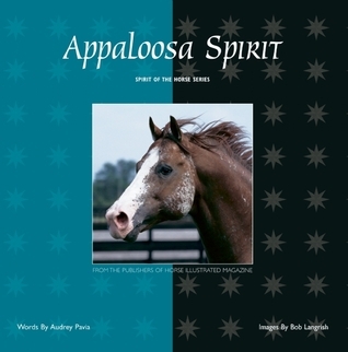 Appaloosa Spirit