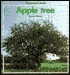 Apple Tree
