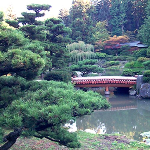 Arriving Where You Are: Jinshan Asks About Nature