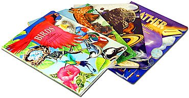 At Your Fingertips Set