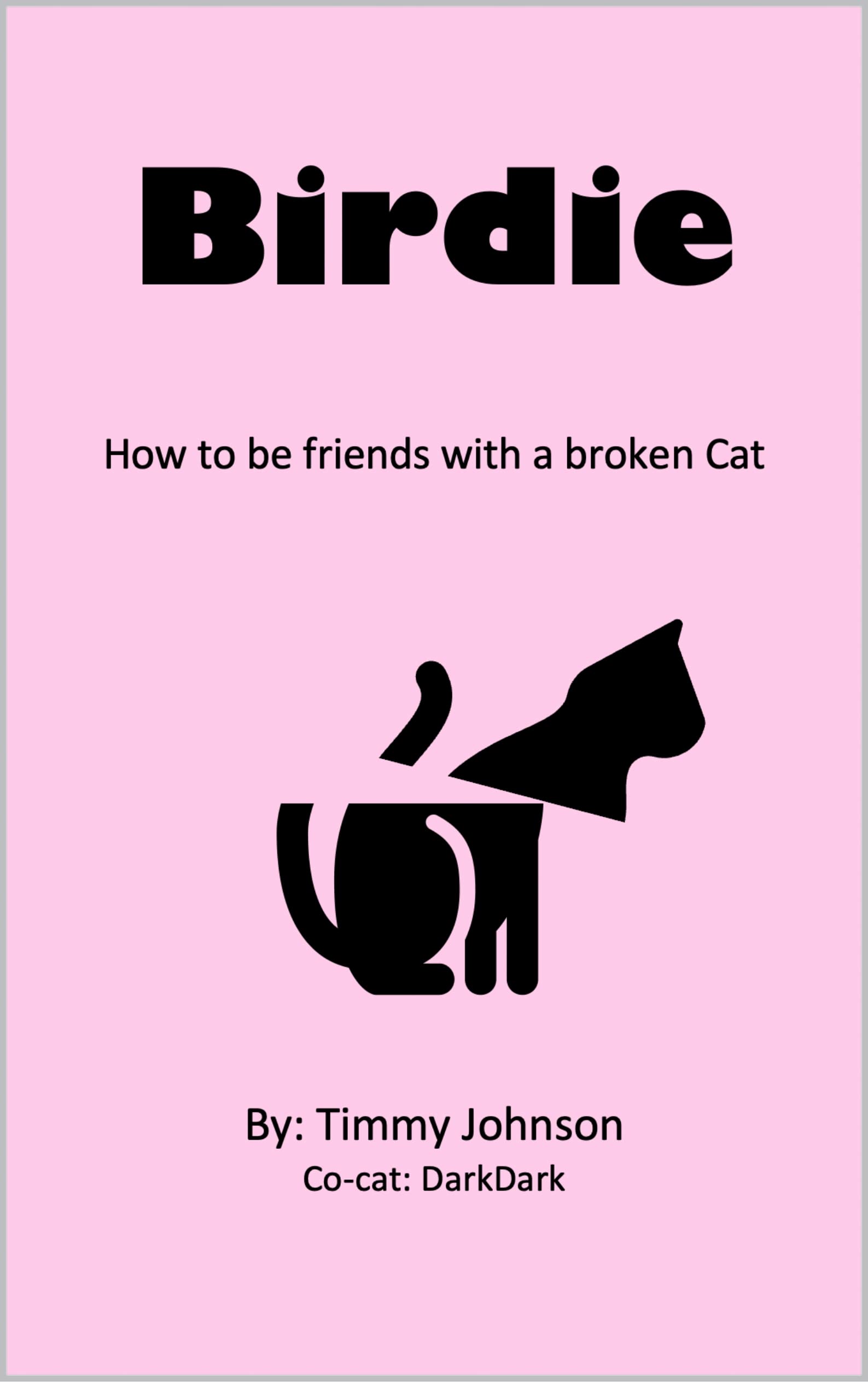 Birdie : How to be Friends with a Broken Cat