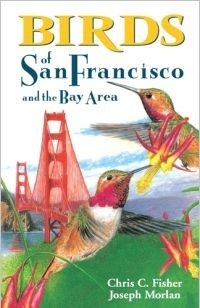 Birds of San Francisco and the Bay Area