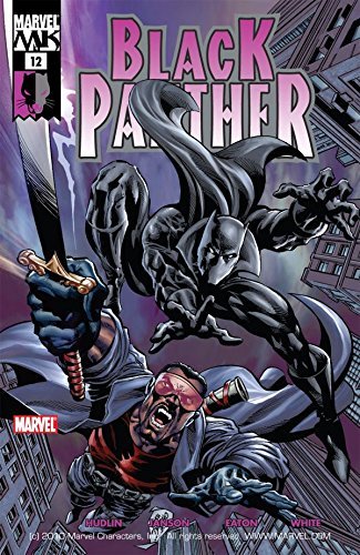 Black Panther (2005-2008) #12