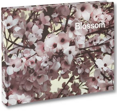 Blossom