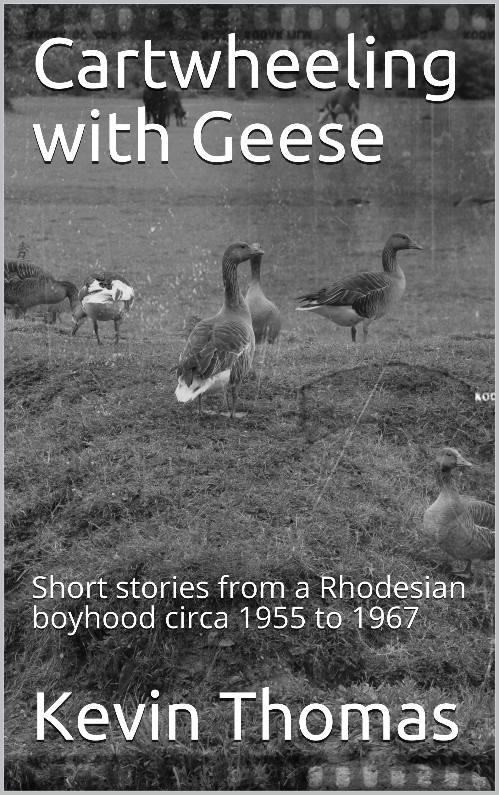 Cartwheeling with Geese: Short stories from a Rhodesian boyhood circa 1955 to 1967