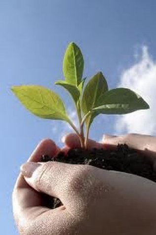 Coach yourself to success