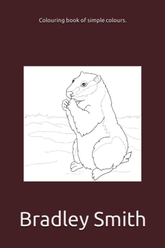 Colouring book of simple colours.