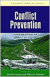 Conflict Prevention: Path to Peace or Grand Illusion