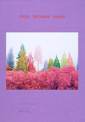 David Benjamin Sherry: It's Time