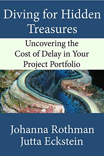 Diving for Hidden Treasures: Uncovering the Cost of Delay in Your Project Portfolio