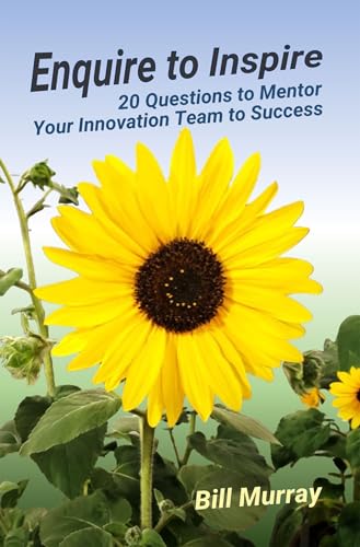 Enquire to Inspire: 20 Questions to Mentor Your Innovation Team to Success