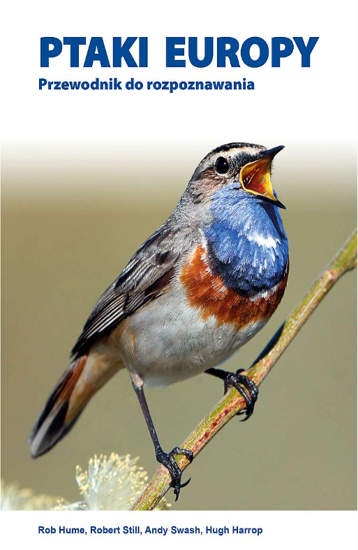 Ptaki Europy. Przewodnik do rozpoznawania