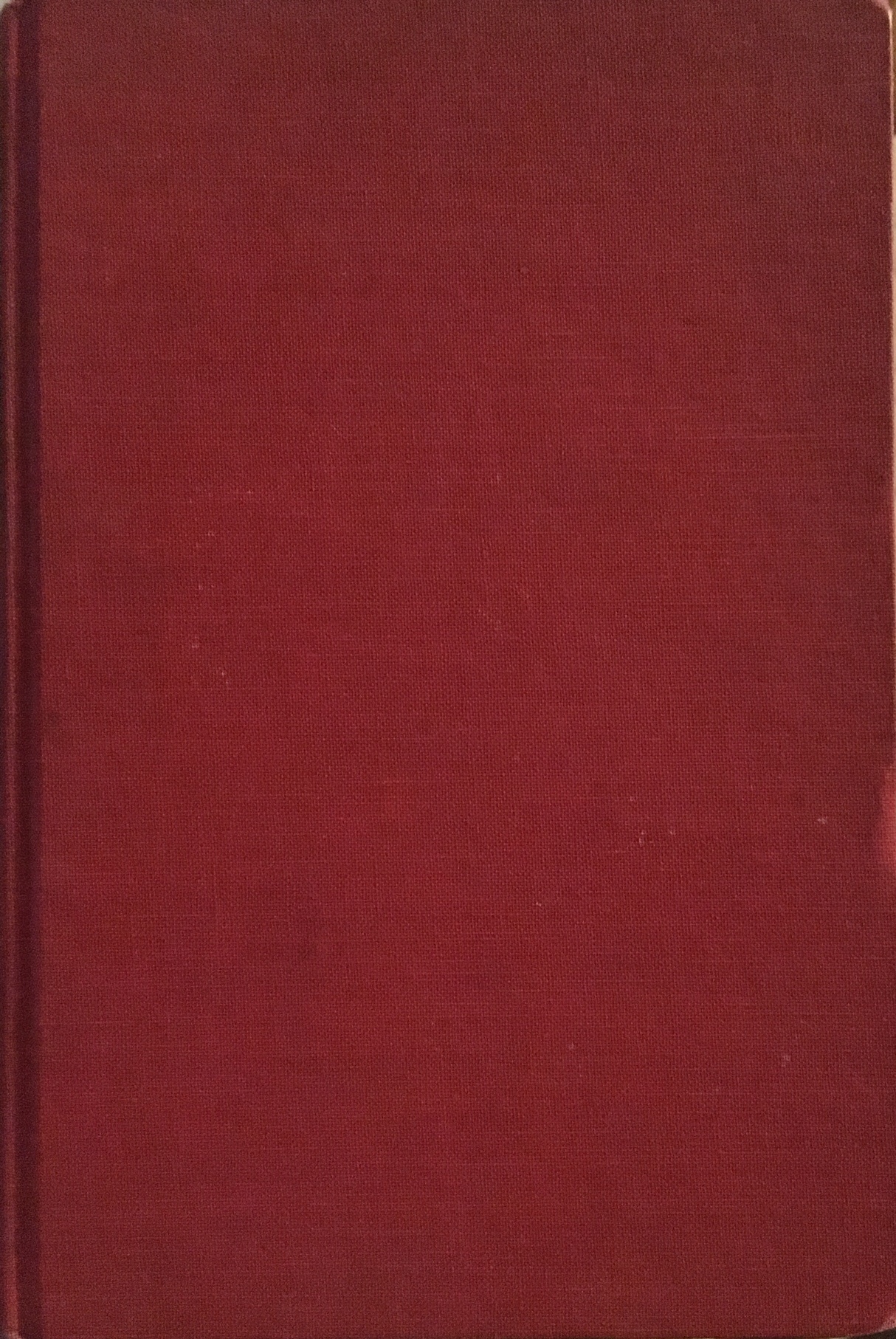 Footprints in a Darkened Forest