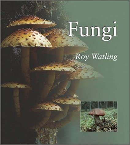 Fungi