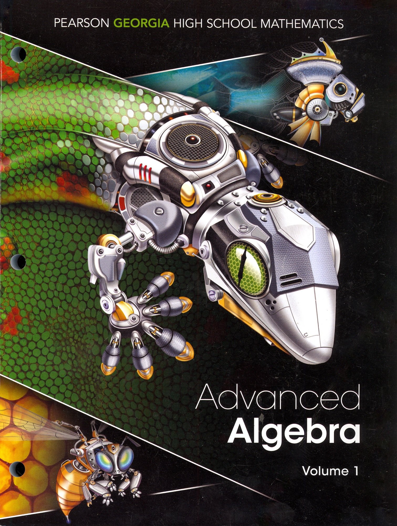 Georgia Advanced Algebra - Volume 1