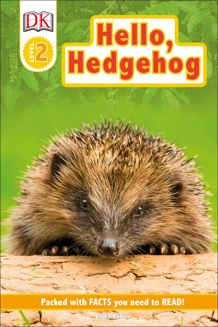 Hello, Hedgehog