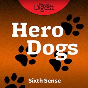 Hero Dogs: Sixth Sense