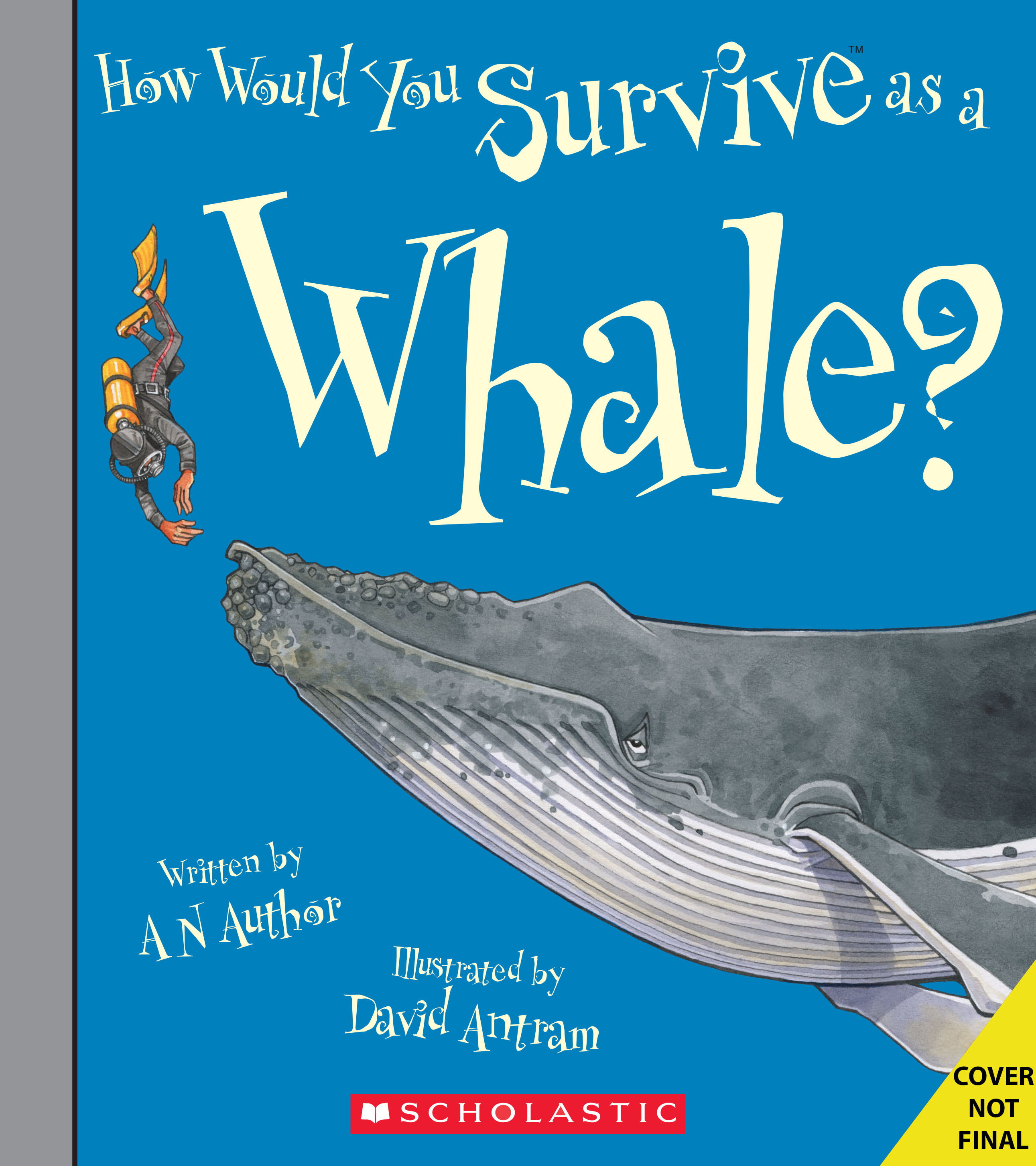 How Would You Survive as a Whale?