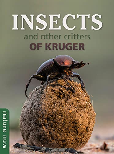 Insects and other Critters of Kruger: Nature Now
