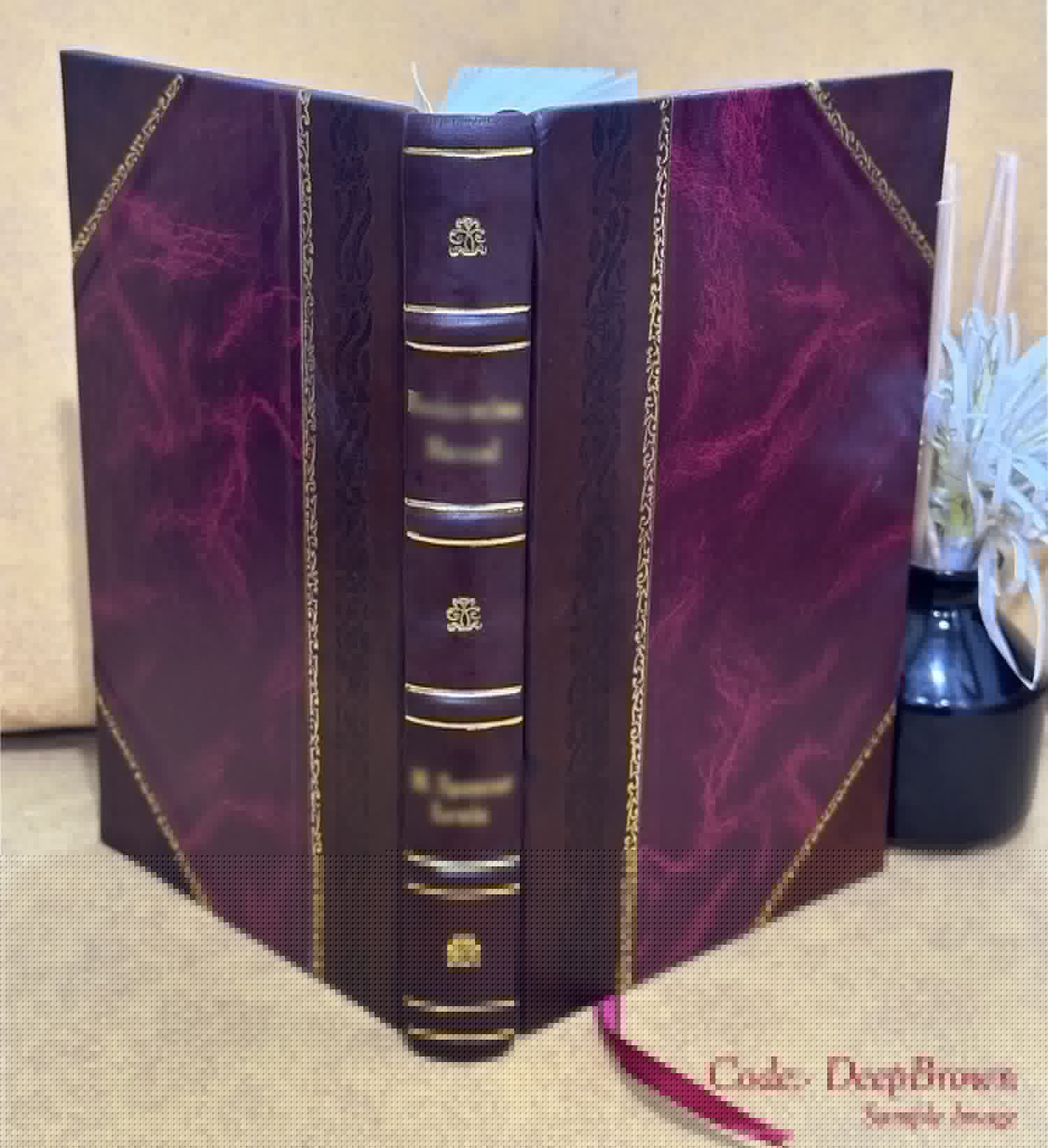 Ireland uber alles : a tale of the sea