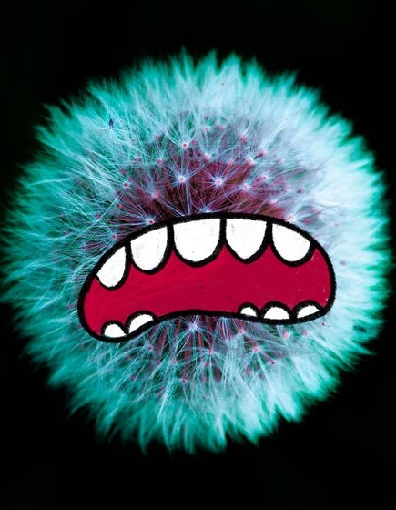 It Came From Cruden Farm