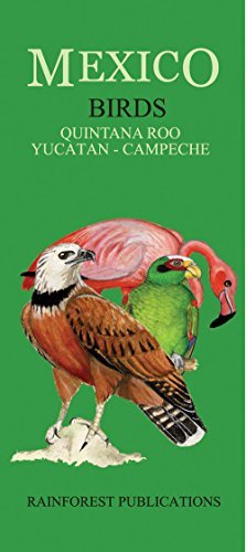 Mexico Caribbean Regions Birds Guide
