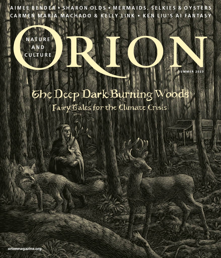 Orion Magazine: The Deep Dark Burning Woods