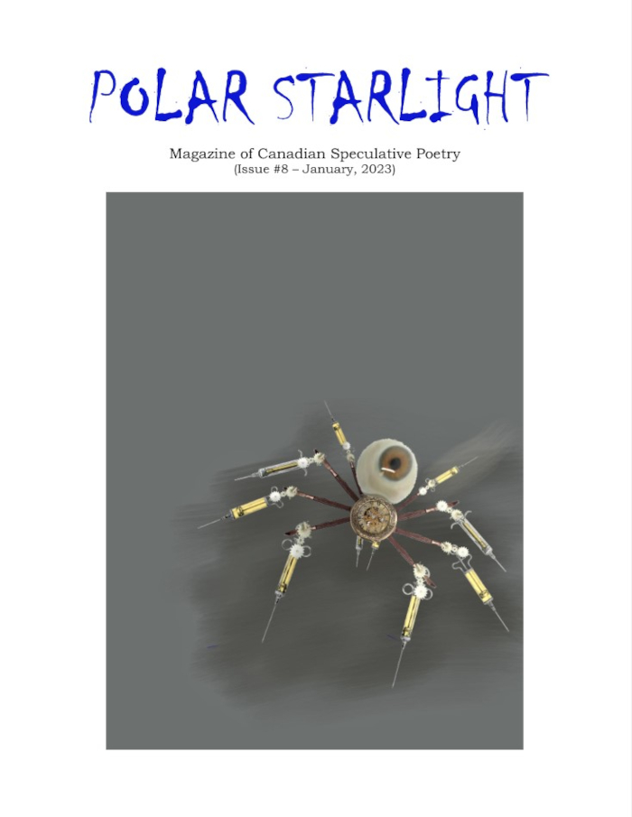 Polar Starlight, Issue 8, January 2023