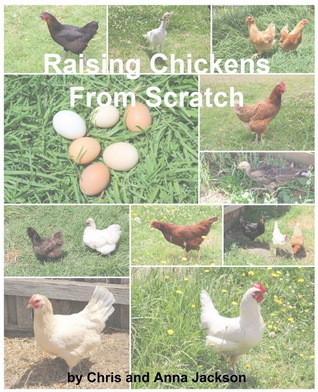Raising Chickens from Scratch