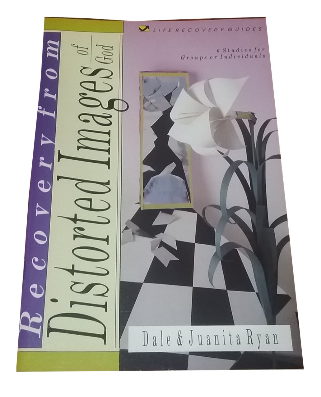 Recovery from Distorted Images of God