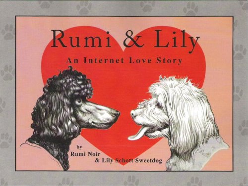 Rumi & Lily: An Internet Love Story