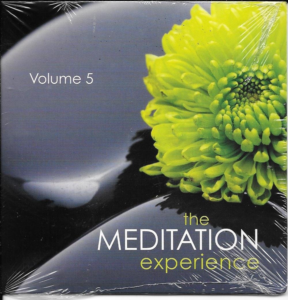 The Meditation Experience: Volume 5