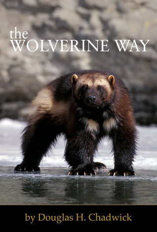 The Wolverine Way