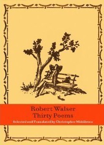 Thirty Poems