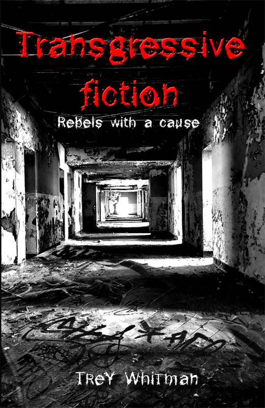 Transgressive fiction : rebels with a cause