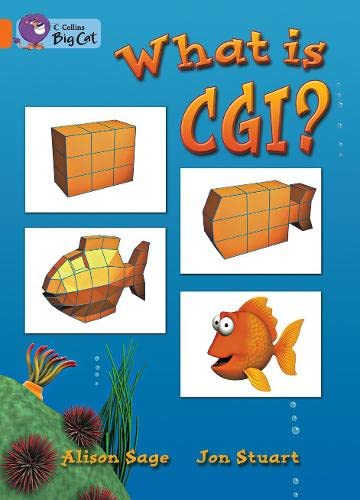 What is CGI? Workbook